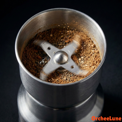 Mini Broyeur Électrique à Café & Épices Rapide Compact Pratique